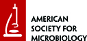 ASMB Logo